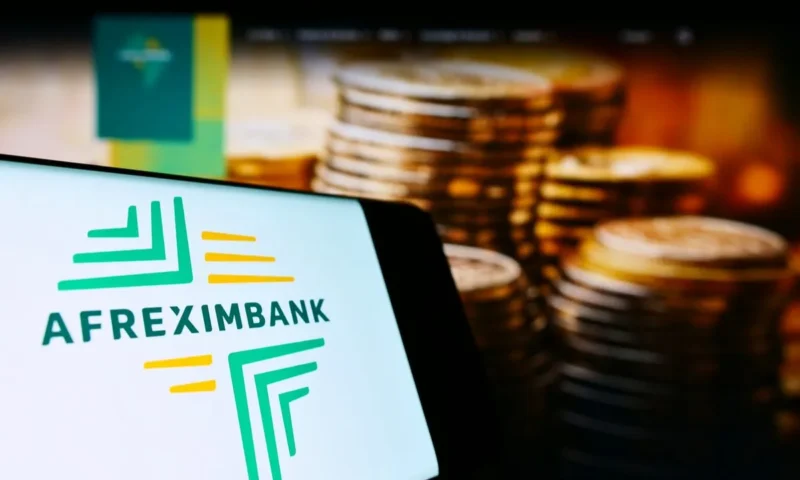 Afreximbank hails support from banks with largest-ever loan